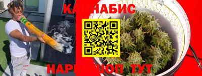 шишки Бузулук