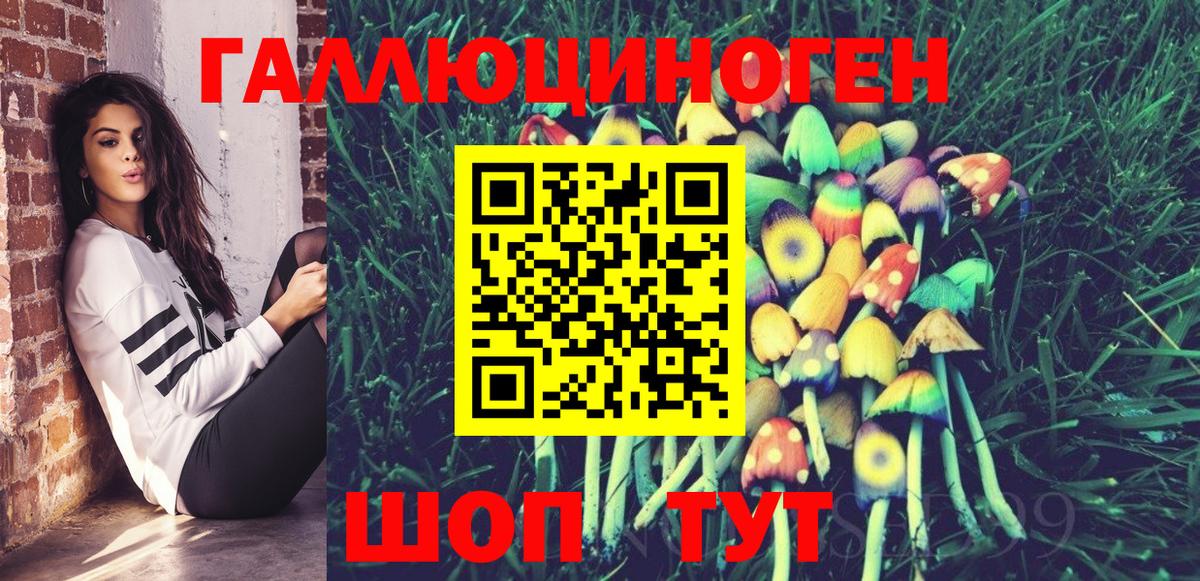 Крымск  Галлюциногенные грибы Magic Shrooms  Псилоцибиновые грибы Psilocybine cubensis  Вход с VPN 